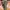 New Balance Vintage Y2K Sneakers Pria Brown Gray