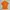 Vintage Y2K Shirt Wanita orange photo 2