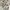 Morgan De Toi Vintage Y2K Blouse Wanita white pink photo 6
