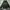 Nautica Vintage Streetwear Hoody Pria Green