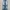Vintage Jeans Pria navy blue photo 1