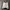 Adidas Casual Track Jacket Pria White