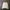 Adidas Casual Track jacket Pria white photo 6