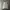 Nike Casual Track jacket Pria gray photo 7