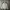 Nike Casual Track jacket Pria gray photo 2