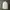 VANS Casual Track jacket Pria white photo 6
