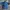Vintage Sportswear Jersey Pria blue photo 3