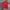 Reebok Casual Polo shirt Pria red photo 1