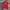 Reebok Casual Polo Shirt Pria Red