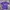 Lotto Sport Italia Vintage Sportswear Jersey Pria Purple