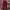 REDOX Vintage Y2K Casual Pants Pria Red