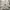 Japanese brand Casual T-shirt Pria gray photo 1