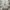 Japanese brand Casual T-shirt Pria gray photo 4