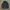 Adidas Vintage Sportswear Track jacket Pria gray photo 7