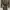 ZARA Luxury Maxi dress Wanita tan brown photo 4