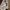 LEGACY Vintage Streetwear Hat Pria burgundy photo 8