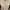 Lotto Sport Italia Sportswear Windbreaker Pria white photo 1