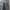 Adidas Luxury Casual Sweater Pria multicolor green photo 1