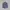 Thom Browne Luxury Formal shirt Pria multicolor photo 2