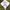 Casual T-shirt Pria white photo 3