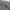 Casual Windbreaker Pria gray photo 5