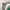 Skater Casual Harrington jacket Pria green tan photo 1
