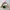 Skater Casual Harrington jacket Pria green tan photo 2