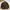 Gorpcore Casual Track jacket Pria brown photo 2