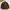 Gorpcore Casual Track Jacket Pria Brown