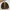 Gorpcore Casual Track jacket Pria brown photo 1
