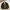 Gorpcore Casual Track Jacket Pria Brown