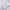 Roxy Vintage Skater Track jacket Pria white photo 1