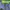 Nike Sportswear Futurist Windbreaker Pria navy photo 8
