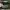 Michael Kors Luxury Bags & purse Wanita green photo 4