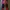 Gorpcore Swimwear Kids orange black photo 1