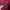 Japanese brand Y2K Casual Casual shirt Pria red photo 6