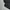 Streetwear Sportswear Fleece Pria black photo 5