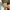 Carhartt Vintage Y2K Hat Pria green photo 2
