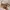 Diesel Casual Shoulder bag Wanita gold tan photo 1