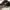 New Era Vintage Sportswear Hat Pria black gray photo 2
