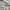Polo Ralph Lauren Minimalist Casual Casual shirt Pria gray cream photo 3