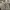 Calvin Klein Casual Puffer jacket Pria gray photo 5