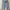 Emo Futurist Ripped jeans Wanita multicolor blue photo 1