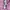 Balenciaga Vintage Luxury Shirt Wanita pink photo 7