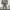 Minimalist Pria white black photo 4