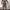 Minimalist Pria white black photo 8