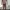Minimalist Pria white black photo 7