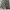 Vintage Grunge Scarf Wanita gray photo 3
