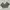 Vintage Grunge Scarf Wanita gray photo 1