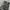 Vintage Grunge Scarf Wanita gray photo 2